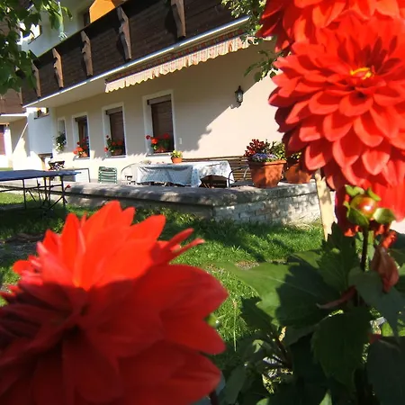 Gaestehaus Sonja 3* Niederau
